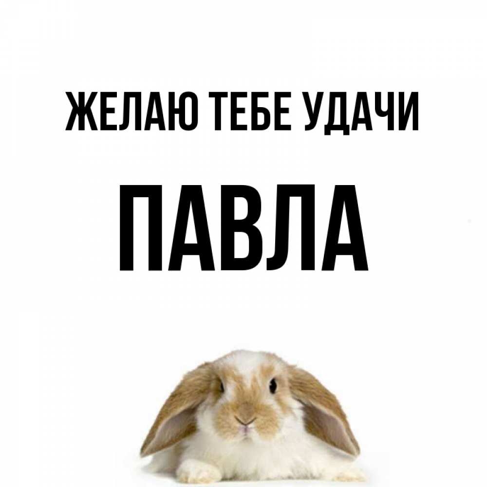 Открытка на каждый день с именем, Павла Желаю тебе удачи открытки с произвольным текстом который можно вставить в открытку и создать ее самостоятельно бесплатно онлайн Прикольная открытка с пожеланием онлайн скачать бесплатно 