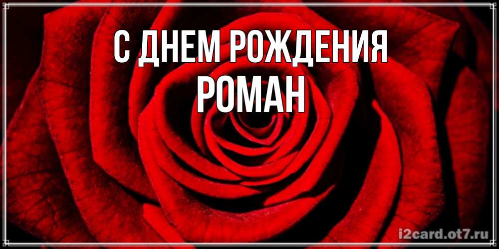Открытка на каждый день с именем, Роман С днем рождения алая роза Прикольная открытка с пожеланием онлайн скачать бесплатно 