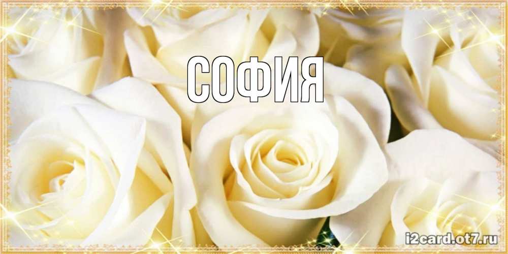 Открытка на каждый день с именем, София Главная розочки белого цвета на открытке Прикольная открытка с пожеланием онлайн скачать бесплатно 