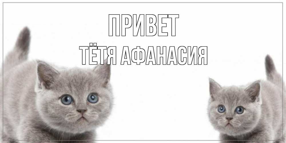 Открытка на каждый день с именем, Тётя-Афанасия Привет коты Прикольная открытка с пожеланием онлайн скачать бесплатно 