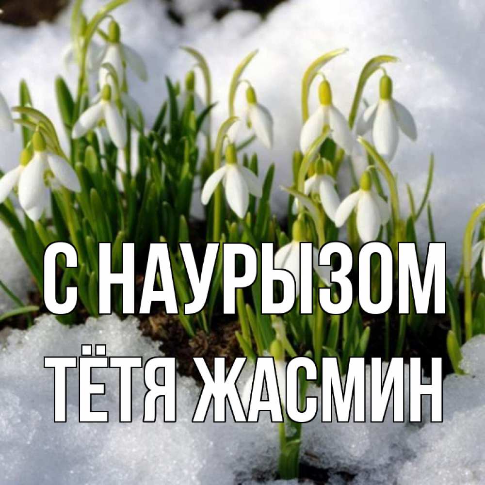 Открытка на каждый день с именем, Тётя-Жасмин С наурызом цветы весенние Прикольная открытка с пожеланием онлайн скачать бесплатно 
