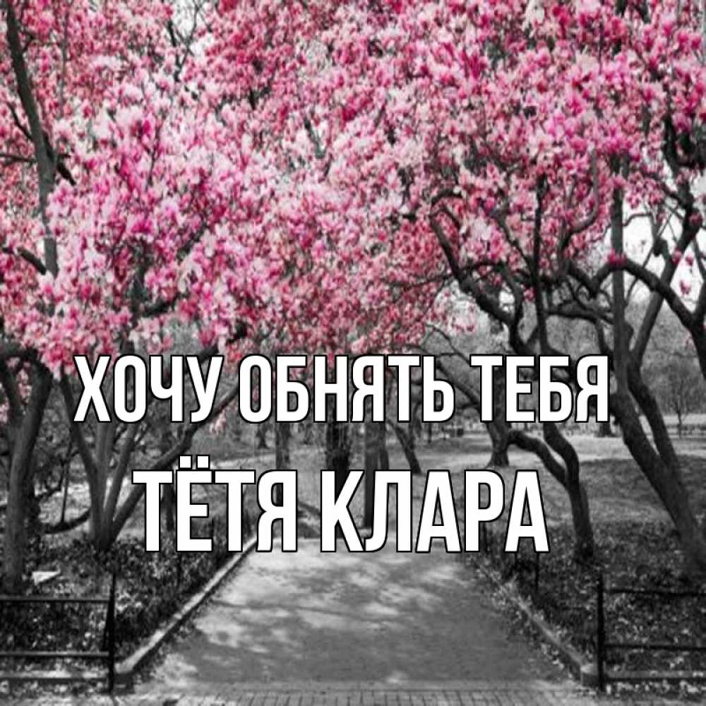 Открытка на каждый день с именем, Тётя-Клара Хочу обнять тебя обработанное фото Прикольная открытка с пожеланием онлайн скачать бесплатно 