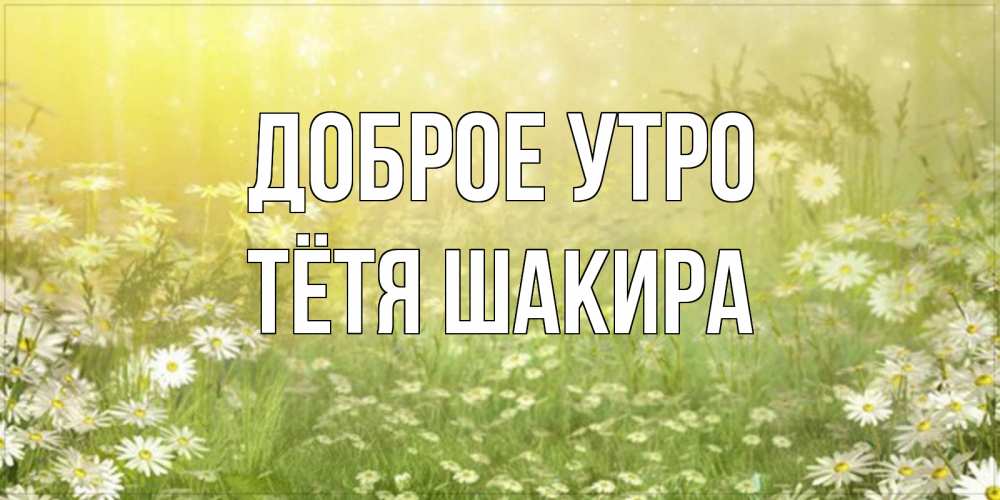 Открытка на каждый день с именем, Тётя-Шакира Доброе утро доброе утро Прикольная открытка с пожеланием онлайн скачать бесплатно 