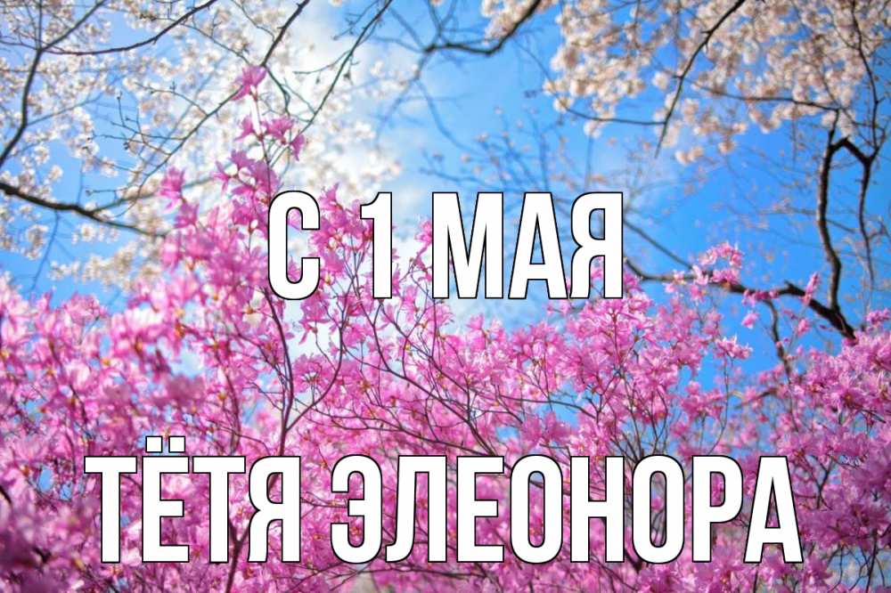 Открытка на каждый день с именем, Тётя-Элеонора С 1 мая С 1 мая Прикольная открытка с пожеланием онлайн скачать бесплатно 