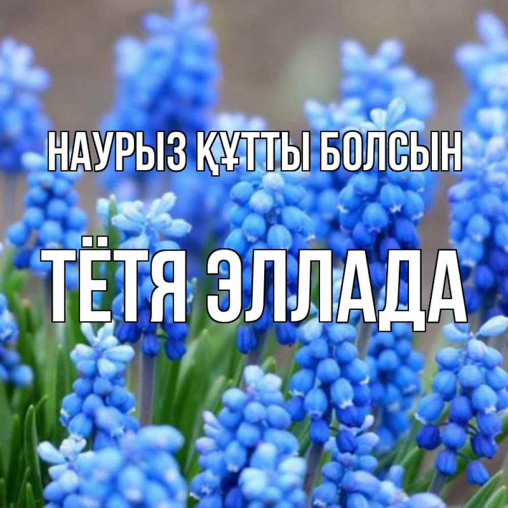 Открытка на каждый день с именем, Тётя-Эллада Наурыз құтты болсын Поздравительная открытка для женщин с цветами на праздничную дату Прикольная открытка с пожеланием онлайн скачать бесплатно 
