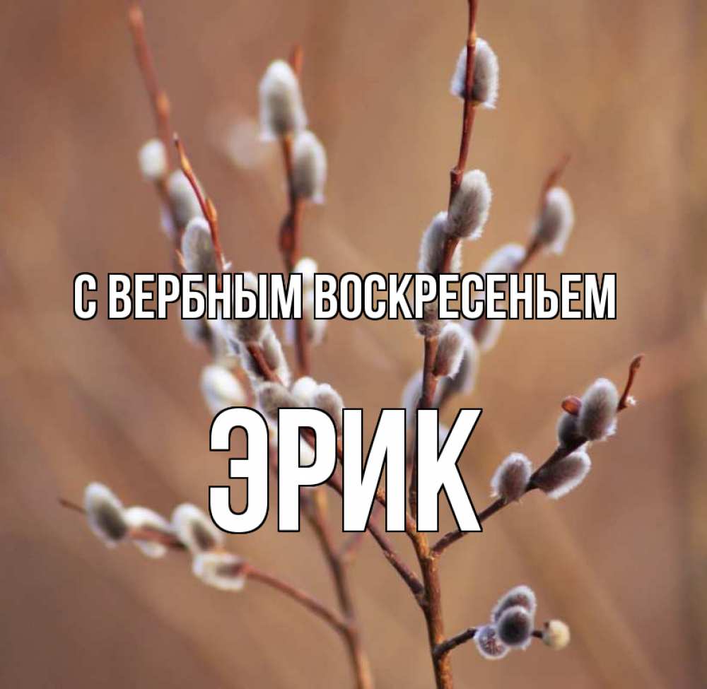 Открытка на каждый день с именем, Эрик С вербным воскресеньем верба Прикольная открытка с пожеланием онлайн скачать бесплатно 