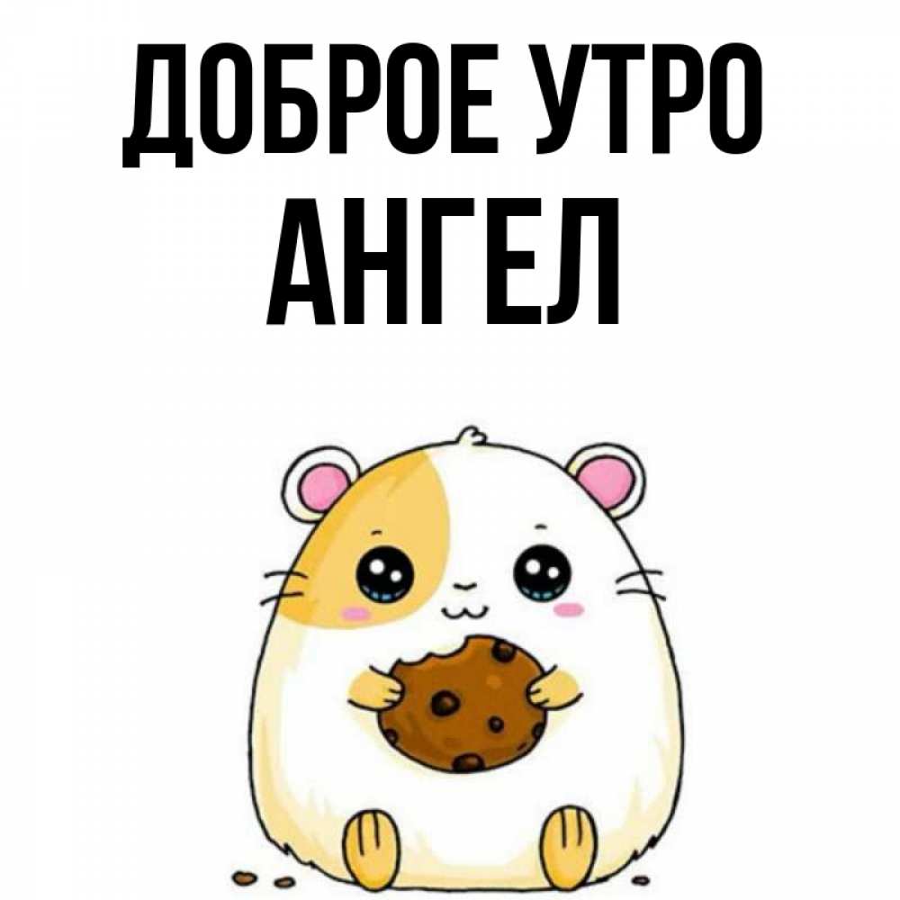 Открытка на каждый день с именем, ангел Доброе утро есть печеньку. Утречко Прикольная открытка с пожеланием онлайн скачать бесплатно 