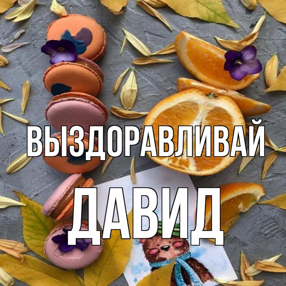 Открытка на каждый день с именем, Давид Выздоравливай не болейте Прикольная открытка с пожеланием онлайн скачать бесплатно 