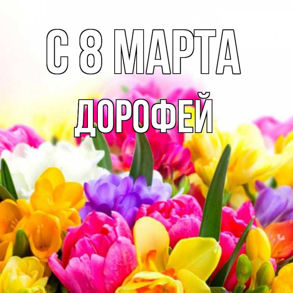 Открытка на каждый день с именем, Дорофей С 8 МАРТА тюльпаны Прикольная открытка с пожеланием онлайн скачать бесплатно 