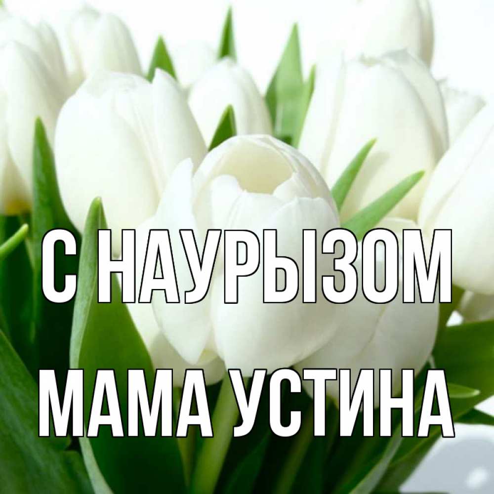 Открытка на каждый день с именем, Мама-Устина С наурызом цветы Прикольная открытка с пожеланием онлайн скачать бесплатно 