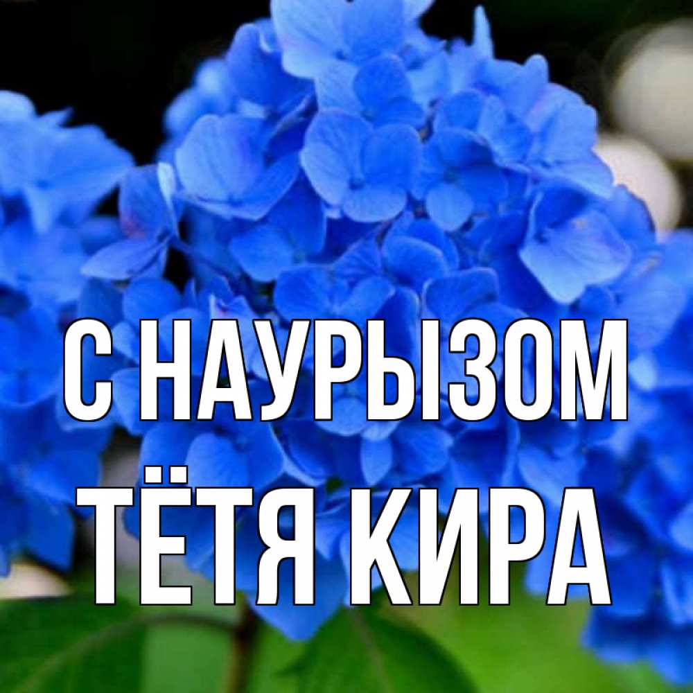 Открытка на каждый день с именем, Тётя-Кира С наурызом синие цветы Прикольная открытка с пожеланием онлайн скачать бесплатно 