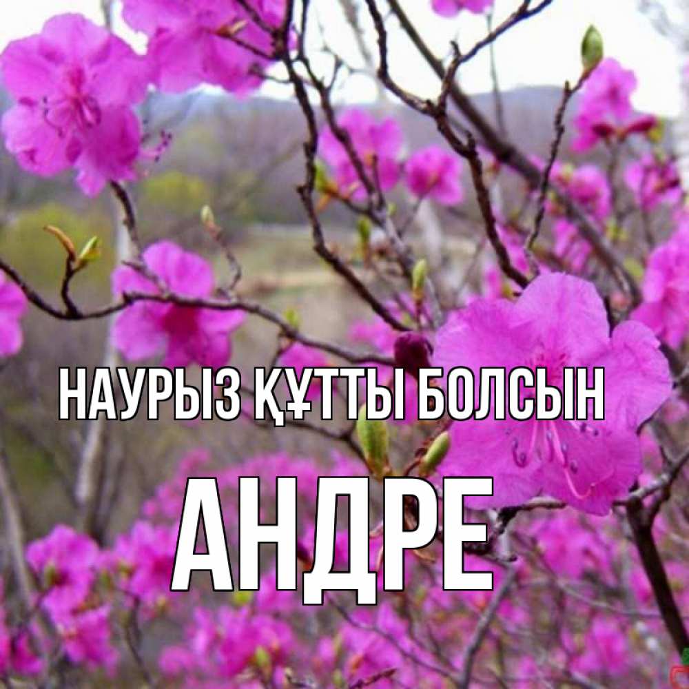 Открытка на каждый день с именем, Андре Наурыз құтты болсын наурыз мейрамы кутты болсын Прикольная открытка с пожеланием онлайн скачать бесплатно 