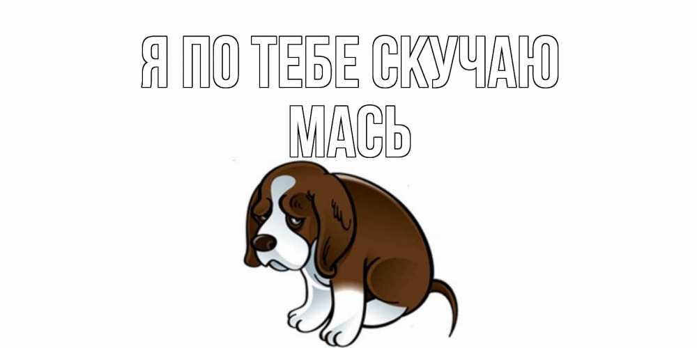 Открытка на каждый день с именем, Мась Я по тебе скучаю я по тебе скучаю с щенком Прикольная открытка с пожеланием онлайн скачать бесплатно 