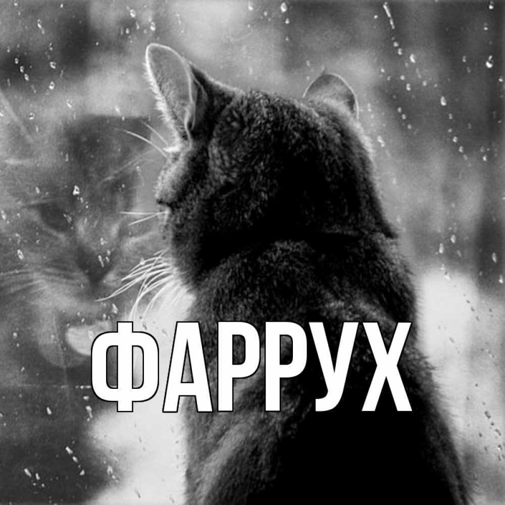 Картинка  с именем , Фаррух