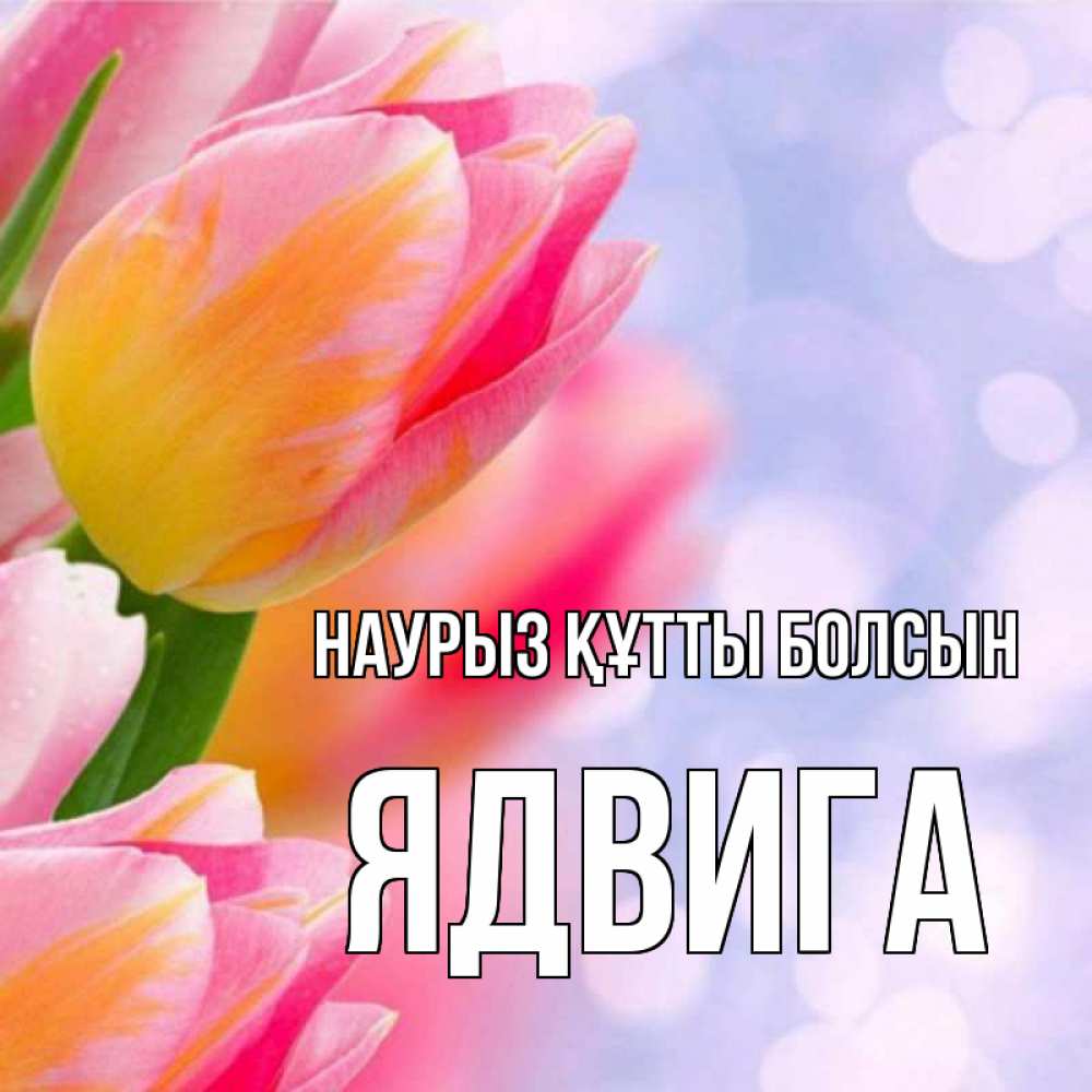 Открытка на каждый день с именем, Ядвига Наурыз құтты болсын тюльпаны 2 Прикольная открытка с пожеланием онлайн скачать бесплатно 