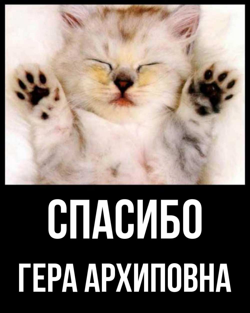 Открытка спасибо с котиком