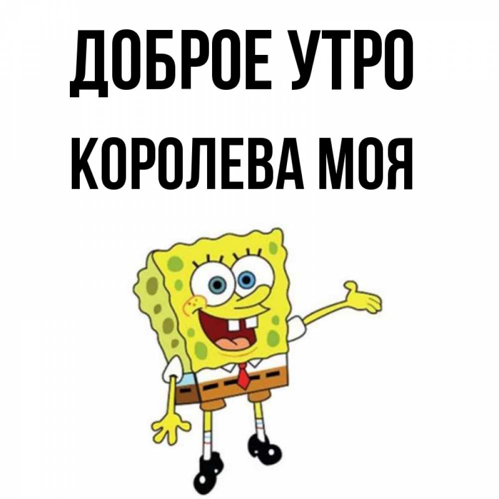 Доброе утро королева моя открытки, смешные