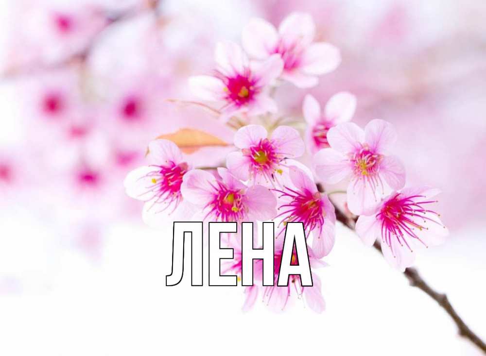 Открытка на каждый день с именем, Лена Главная С 1 мая 2 Прикольная открытка с пожеланием онлайн скачать бесплатно 