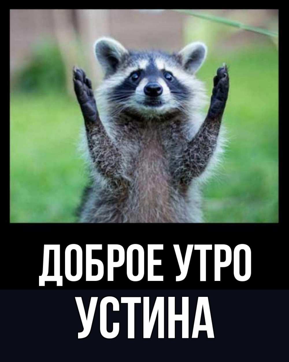 Открытка на каждый день с именем, Устина Доброе утро хорошее настроение утречком Прикольная открытка с пожеланием онлайн скачать бесплатно 