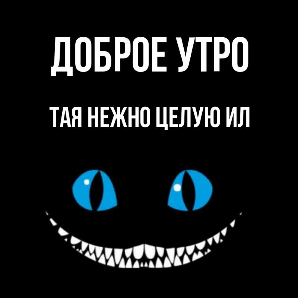 доброе утро тая