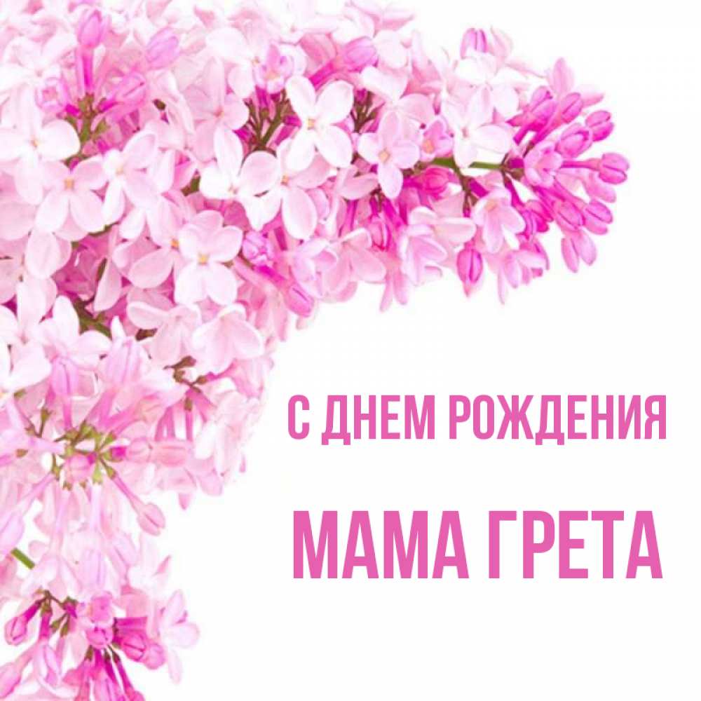 Открытка на каждый день с именем, Мама-Грета С днем рождения Сирень на белом фоне Прикольная открытка с пожеланием онлайн скачать бесплатно 