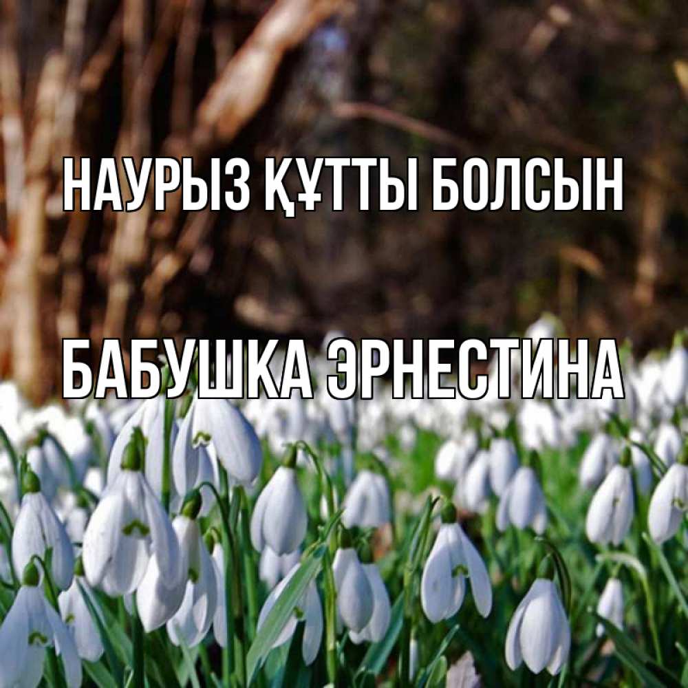 Открытка на каждый день с именем, Бабушка-Эрнестина Наурыз құтты болсын с подснежниками 1 Прикольная открытка с пожеланием онлайн скачать бесплатно 