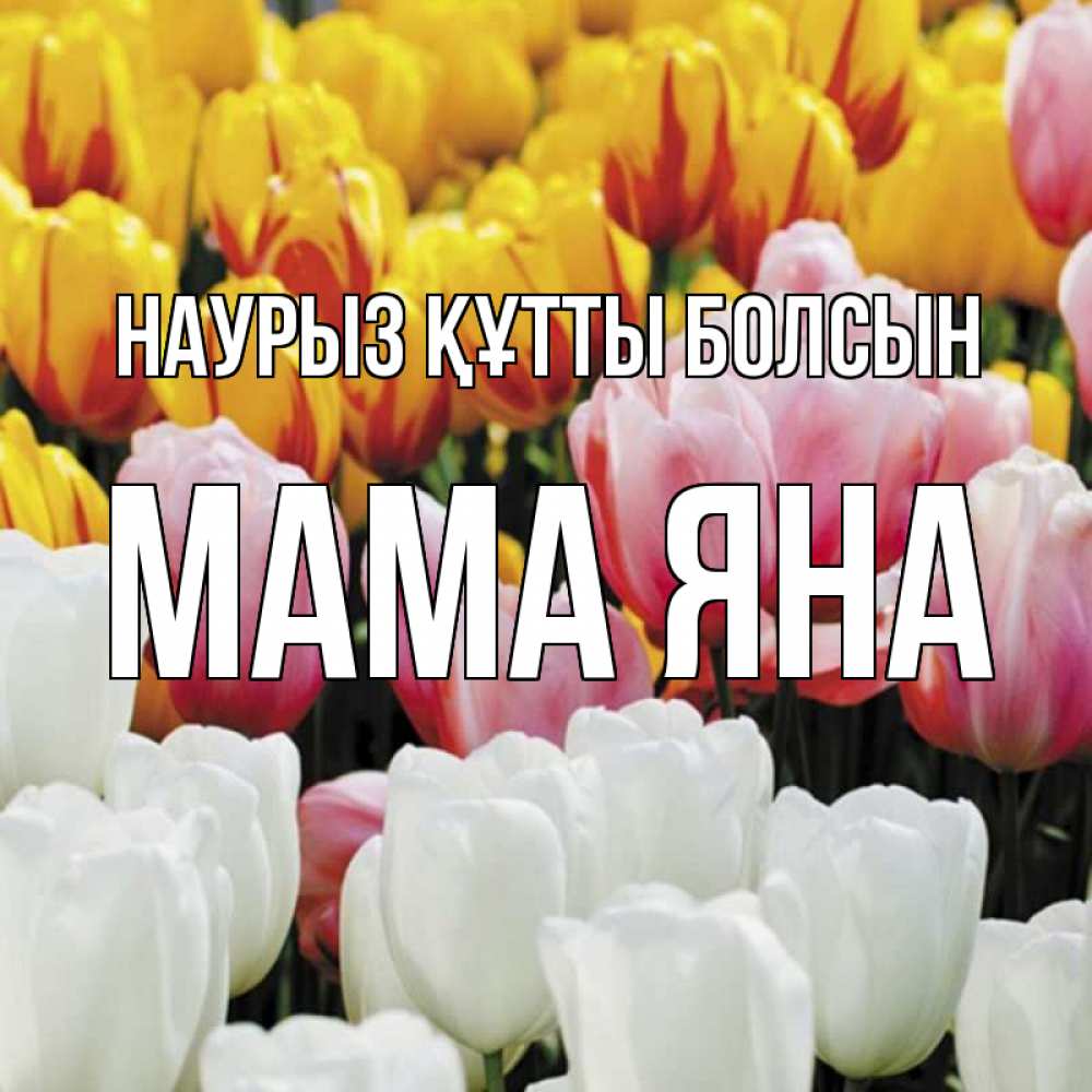 Открытка на каждый день с именем, Мама-Яна Наурыз құтты болсын разноцветные цветы Прикольная открытка с пожеланием онлайн скачать бесплатно 