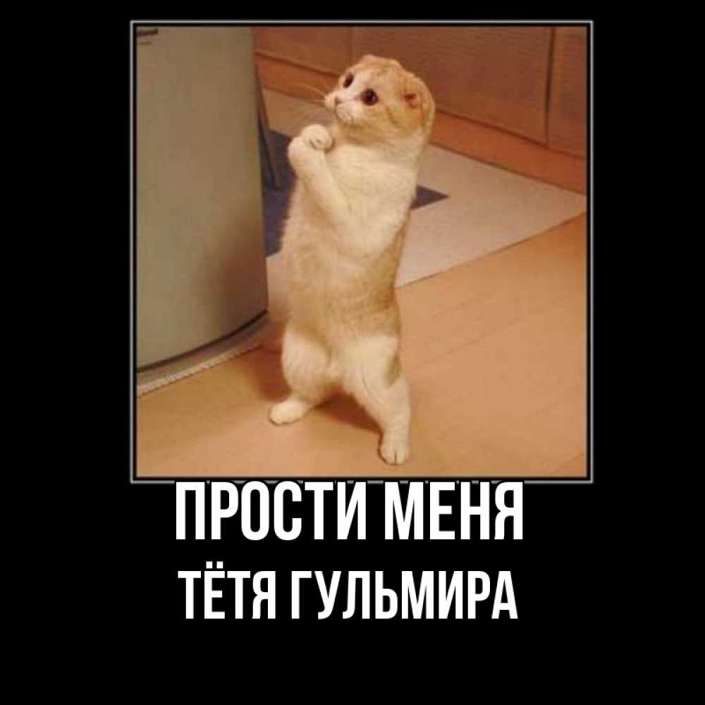 Прошу прощения прикол
