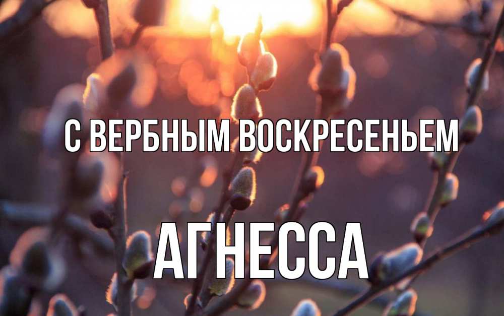Открытка на каждый день с именем, Агнесса С вербным воскресеньем верба Прикольная открытка с пожеланием онлайн скачать бесплатно 