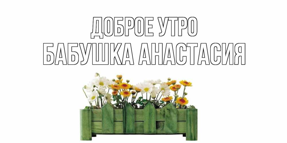 Открытка на каждый день с именем, Бабушка-Анастасия Доброе утро цветы Прикольная открытка с пожеланием онлайн скачать бесплатно 