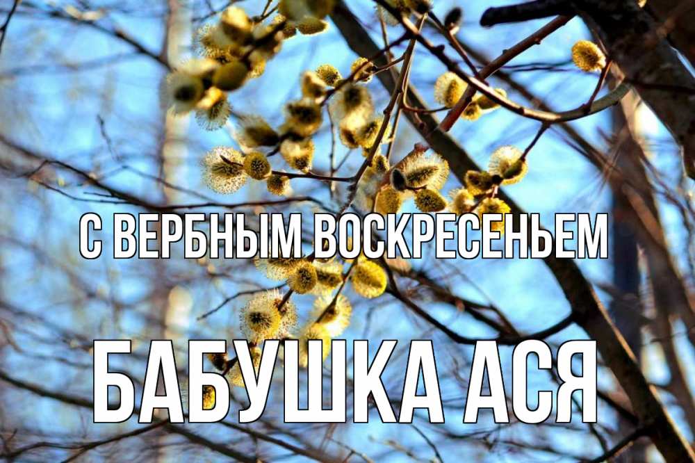 Открытка на каждый день с именем, Бабушка-Ася С вербным воскресеньем верба Прикольная открытка с пожеланием онлайн скачать бесплатно 