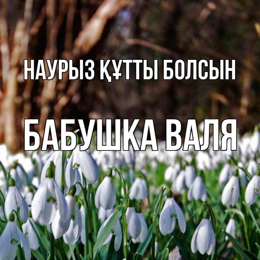 Открытка на каждый день с именем, Бабушка-Валя Наурыз құтты болсын с подснежниками 1 Прикольная открытка с пожеланием онлайн скачать бесплатно 
