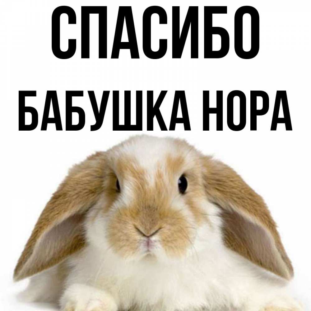 Открытка на каждый день с именем, Бабушка-Нора Спасибо коричнево белый заяц Прикольная открытка с пожеланием онлайн скачать бесплатно 