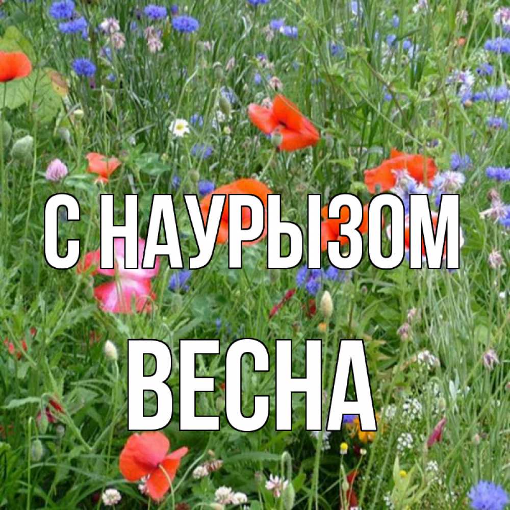Открытка на каждый день с именем, Весна С наурызом праздник весны наурыз супер открытка Прикольная открытка с пожеланием онлайн скачать бесплатно 