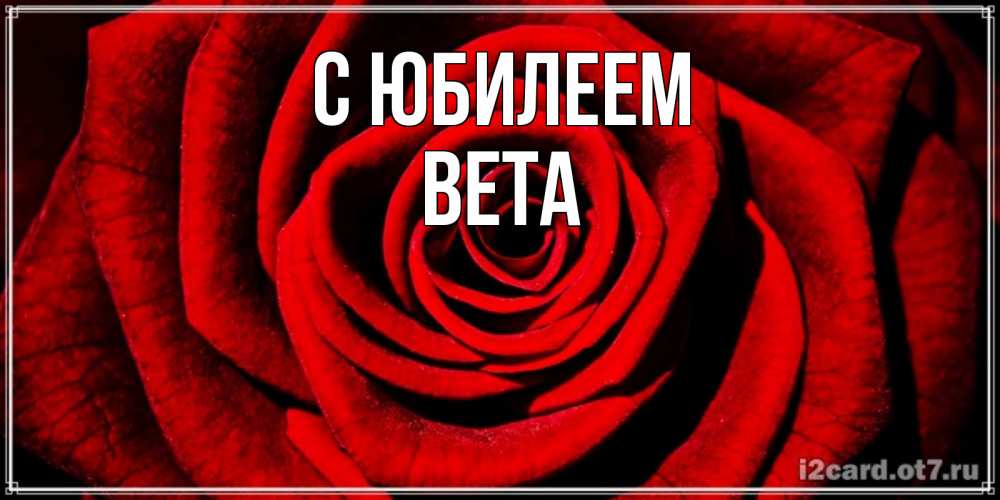 Открытка на каждый день с именем, Вета С юбилеем алая роза Прикольная открытка с пожеланием онлайн скачать бесплатно 