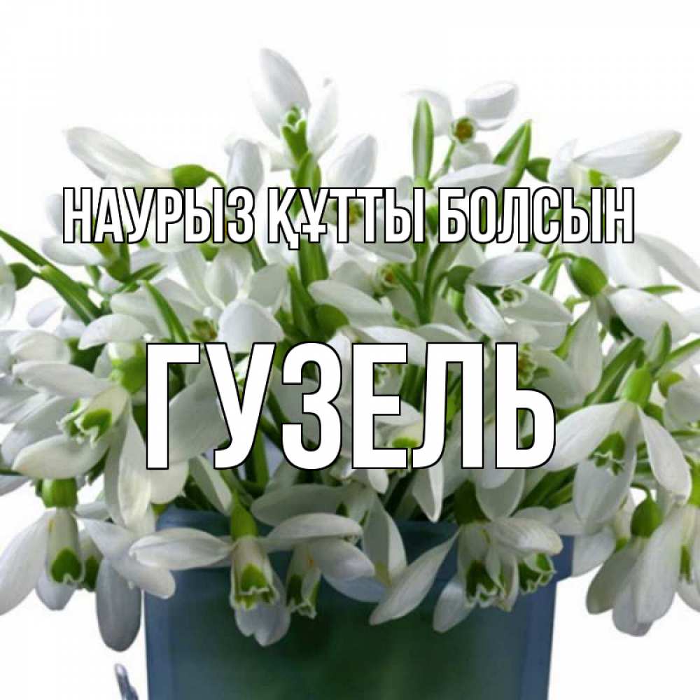 Открытка на каждый день с именем, Гузель Наурыз құтты болсын цветы к наурызу Прикольная открытка с пожеланием онлайн скачать бесплатно 