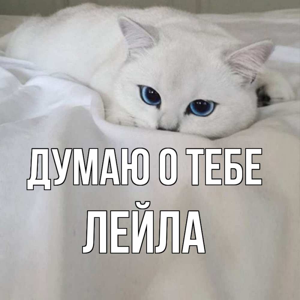 Открытка на каждый день с именем, Лейла Думаю о тебе я очень по тебе скучаю и тоскую Прикольная открытка с пожеланием онлайн скачать бесплатно 