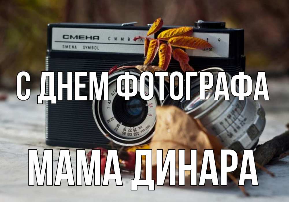 Открытка на каждый день с именем, Мама-Динара С днем фотографа с днем фотографа Прикольная открытка с пожеланием онлайн скачать бесплатно 