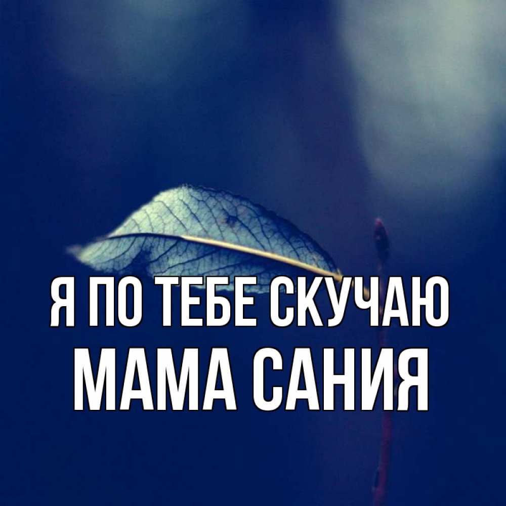 Открытка на каждый день с именем, Мама-Сания Я по тебе скучаю одна ветка 1 Прикольная открытка с пожеланием онлайн скачать бесплатно 
