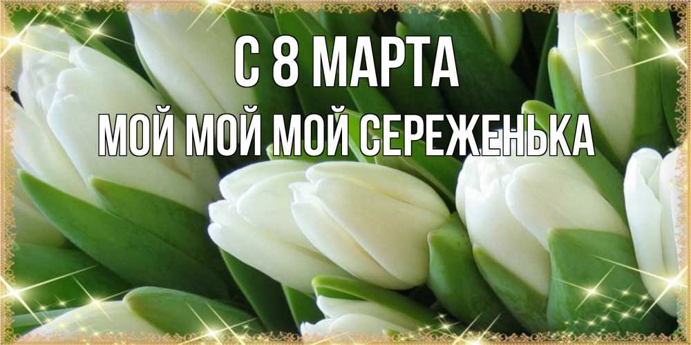 Открытка на каждый день с именем, Мой-мой-мой-Сереженька С 8 МАРТА поздравляем с 8 марта Прикольная открытка с пожеланием онлайн скачать бесплатно 
