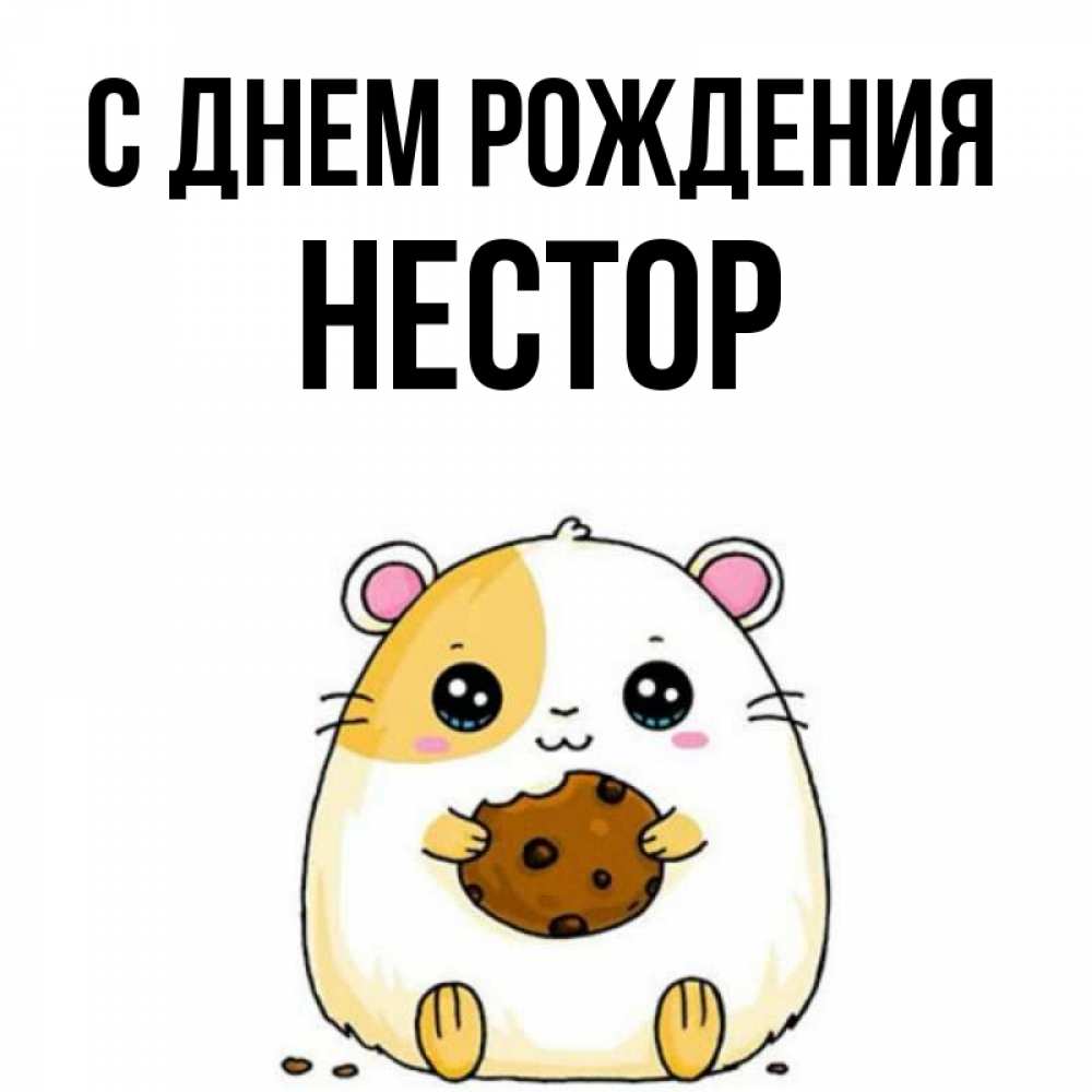 Открытка на каждый день с именем, Нестор С днем рождения с днюхой Прикольная открытка с пожеланием онлайн скачать бесплатно 