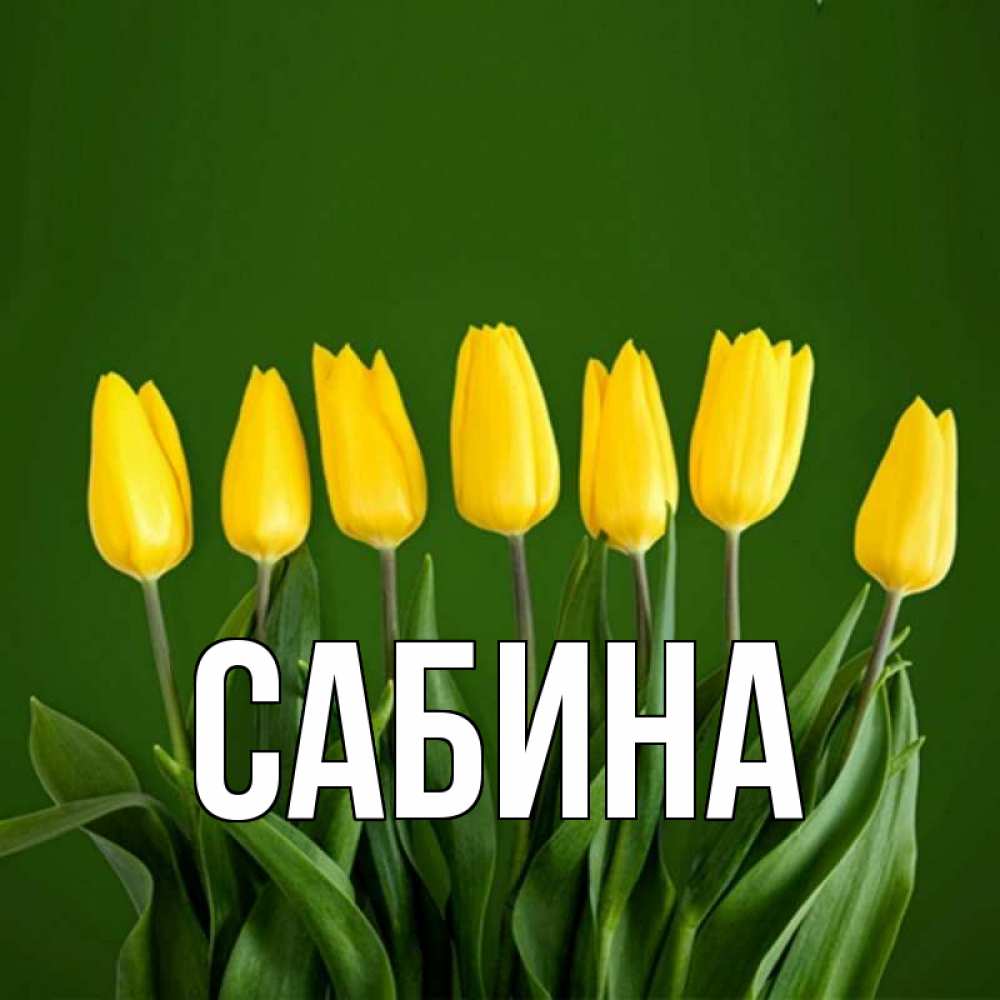 Открытка на каждый день с именем, Сабина Главная желтого цвета 3 Прикольная открытка с пожеланием онлайн скачать бесплатно 