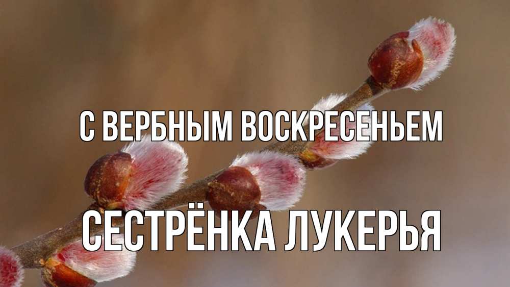 Открытка на каждый день с именем, Сестрёнка-Лукерья С вербным воскресеньем верба Прикольная открытка с пожеланием онлайн скачать бесплатно 