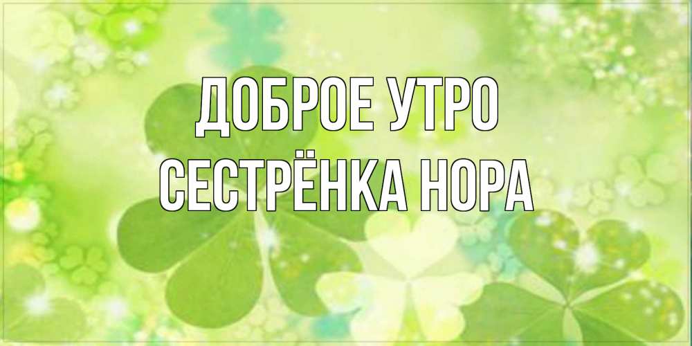 Открытка на каждый день с именем, Сестрёнка-Нора Доброе утро открытка с листьями летними зелеными Прикольная открытка с пожеланием онлайн скачать бесплатно 