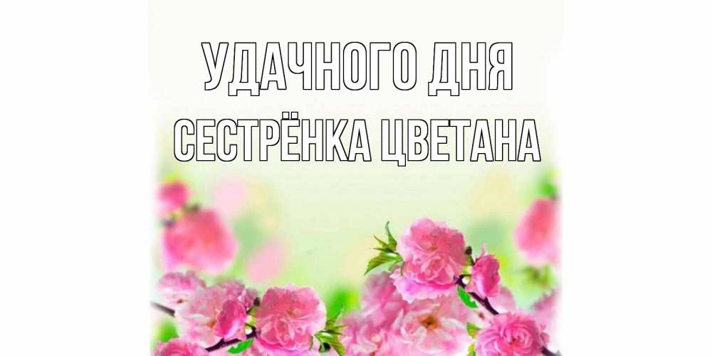 Открытка на каждый день с именем, Сестрёнка-Цветана Удачного дня цветы Прикольная открытка с пожеланием онлайн скачать бесплатно 