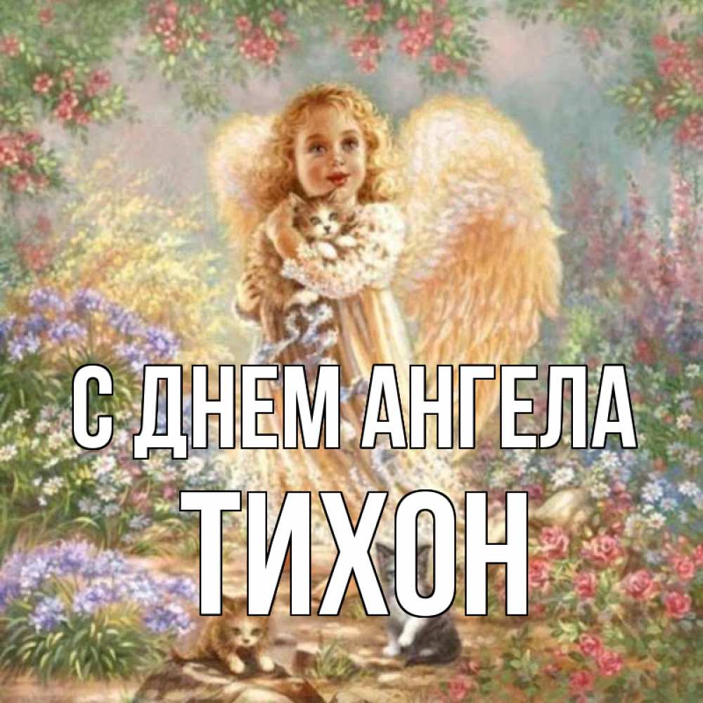 Открытка на каждый день с именем, Тихон С днем ангела держит котенка Прикольная открытка с пожеланием онлайн скачать бесплатно 