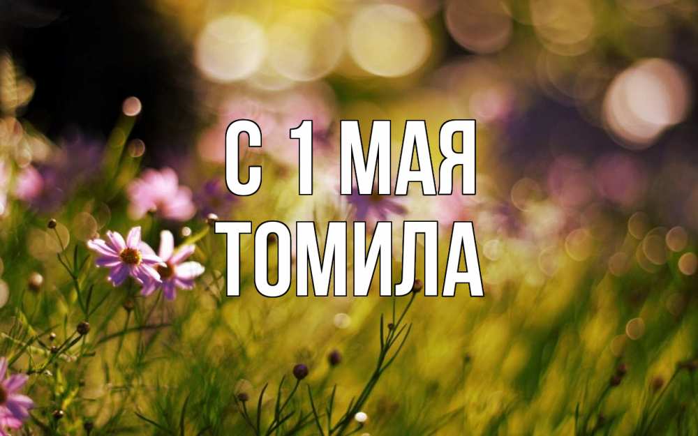Открытка на каждый день с именем, Томила С 1 мая С 1 мая Прикольная открытка с пожеланием онлайн скачать бесплатно 