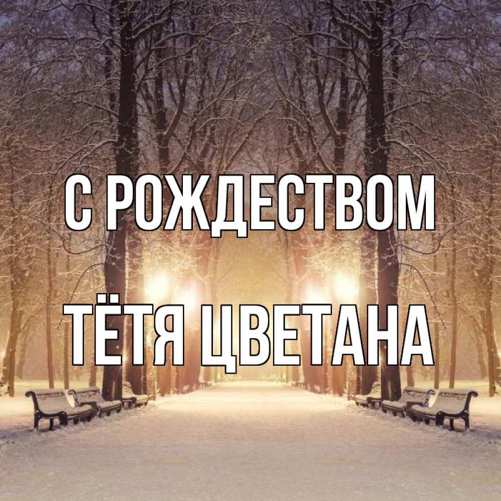 Открытка на каждый день с именем, Тётя-Цветана С рождеством зима, парк, фонарь, лес Прикольная открытка с пожеланием онлайн скачать бесплатно 