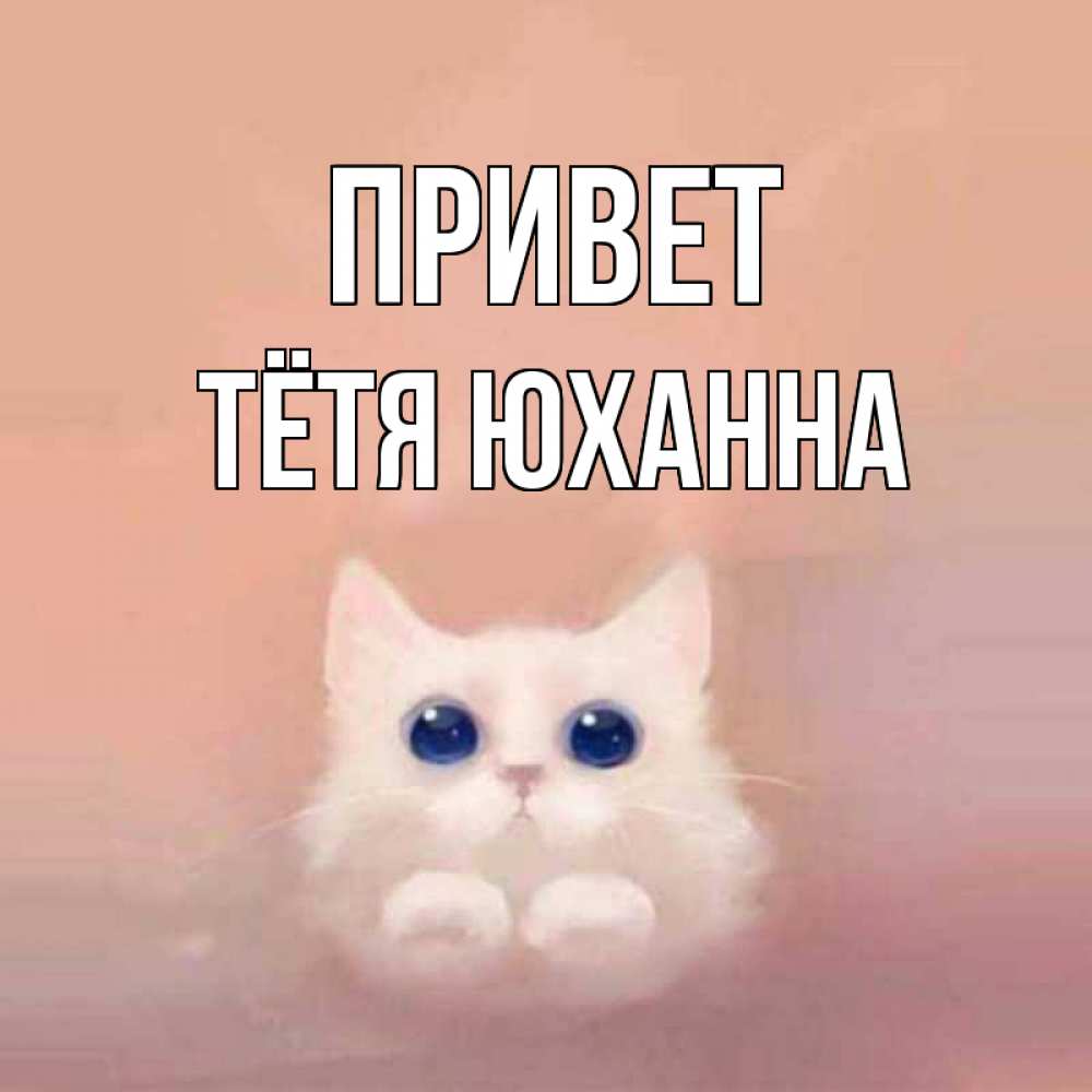 Открытка на каждый день с именем, Тётя-Юханна Привет котик белый в полете Прикольная открытка с пожеланием онлайн скачать бесплатно 