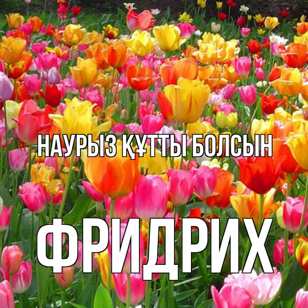 Открытка на каждый день с именем, Фридрих Наурыз құтты болсын на наурыз  ура ура Прикольная открытка с пожеланием онлайн скачать бесплатно 